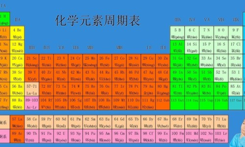夏威夷贝的功效网-分享夏威夷贝的正确煮法，夏威夷贝的6种家常做法知识库